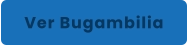 Ver Bugambilia