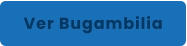 Ver Bugambilia