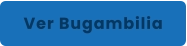 Ver Bugambilia