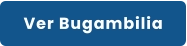 Ver Bugambilia