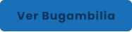 Ver Bugambilia