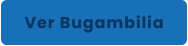 Ver Bugambilia