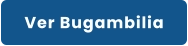 Ver Bugambilia